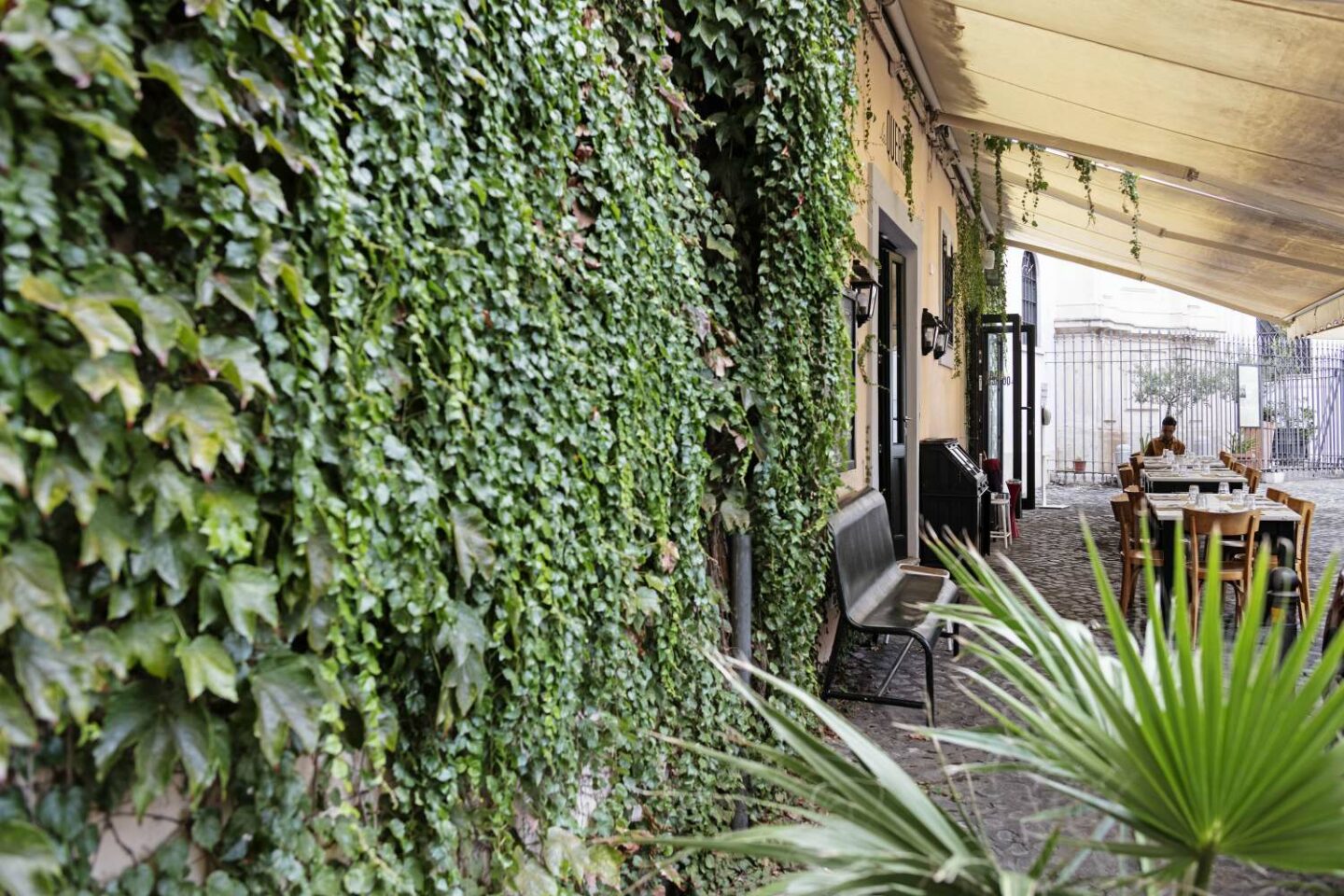 dehors ristorante con edera verde sul muro e tavoli di legno