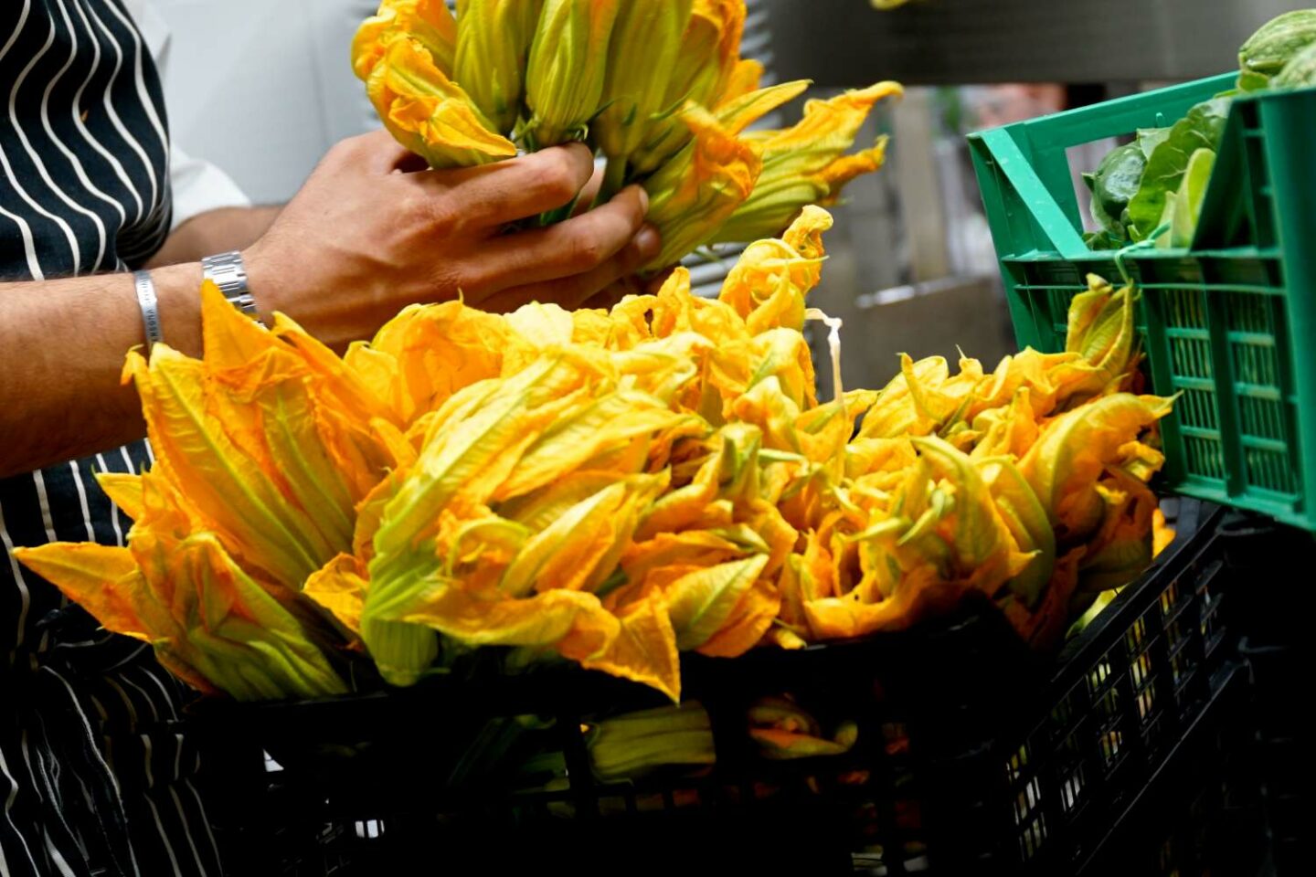 chef sistema fiori di zucca